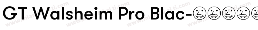 GT Walsheim Pro Blac字体转换
